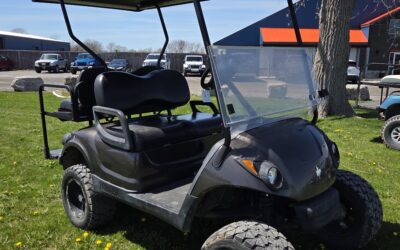 2010 Yamaha Drive